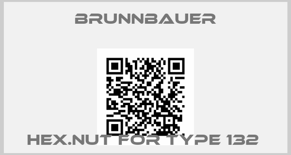 Brunnbauer-HEX.NUT FOR TYPE 132 price