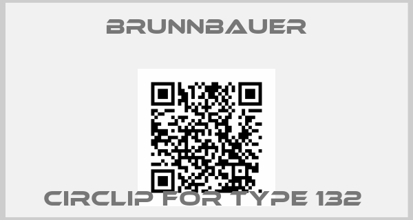 Brunnbauer-CIRCLIP FOR TYPE 132 price