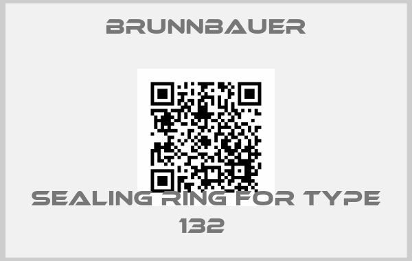 Brunnbauer-SEALING RING FOR TYPE 132 price