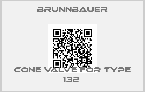 Brunnbauer-CONE VALVE FOR TYPE 132 price