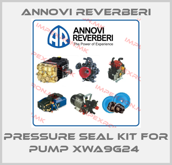 Annovi Reverberi-Pressure seal kit for Pump XWA9G24 price