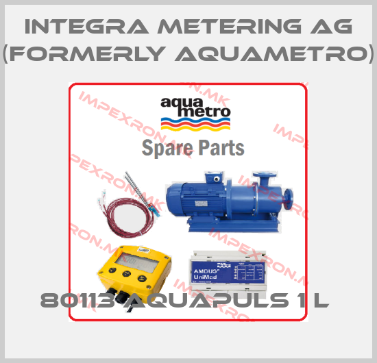 Integra Metering AG (formerly Aquametro)-80113 aquapuls 1 l price
