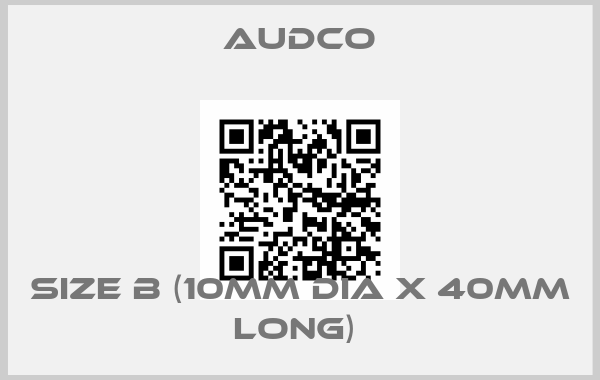 Audco-Size B (10mm Dia x 40mm long) price