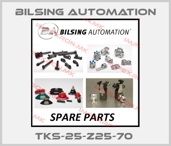 Bilsing Automation-TKS-25-Z25-70 price
