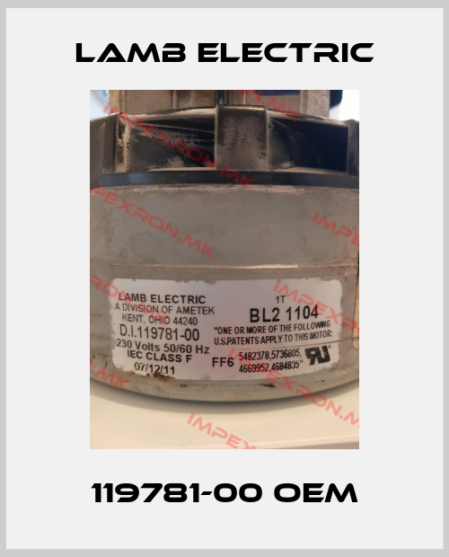 Lamb Electric-119781-00 OEMprice