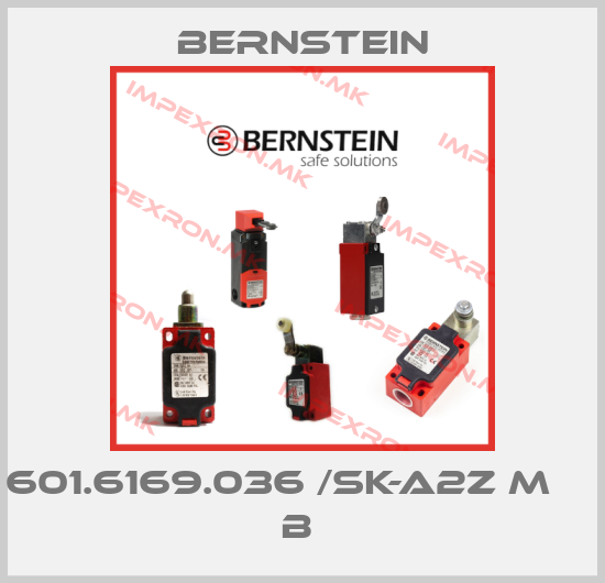 Bernstein-601.6169.036 /SK-A2Z M                     B price