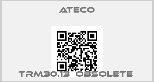 Ateco-TRM30.13  OBSOLETE price