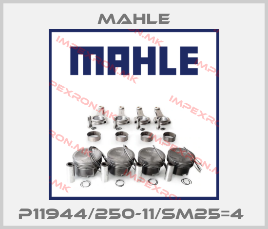 MAHLE-P11944/250-11/SM25=4 price