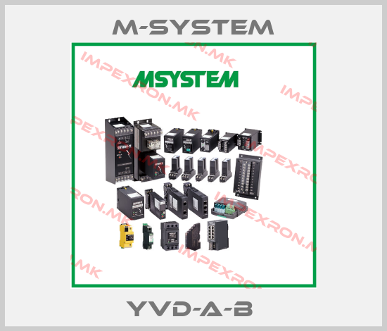 M-SYSTEM Europe