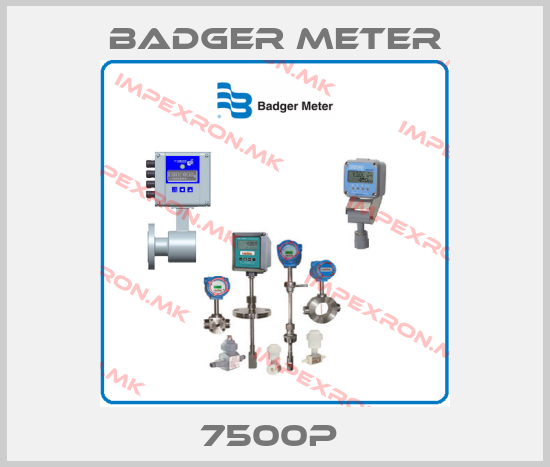 Badger Meter-7500P price