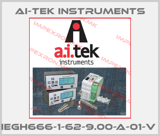AI-Tek Instruments-IEGH666-1-62-9.00-A-01-V price