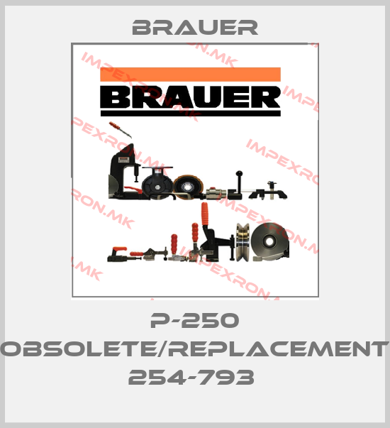 Brauer-P-250 obsolete/replacement 254-793 price