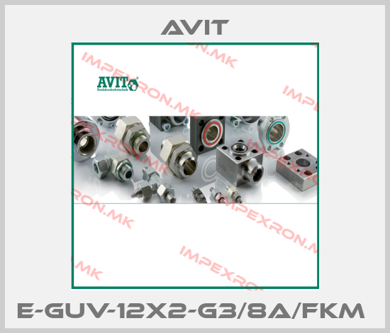 Avit-E-GUV-12x2-G3/8A/FKM price