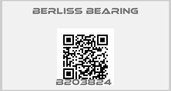 Berliss Bearing-B203824 price