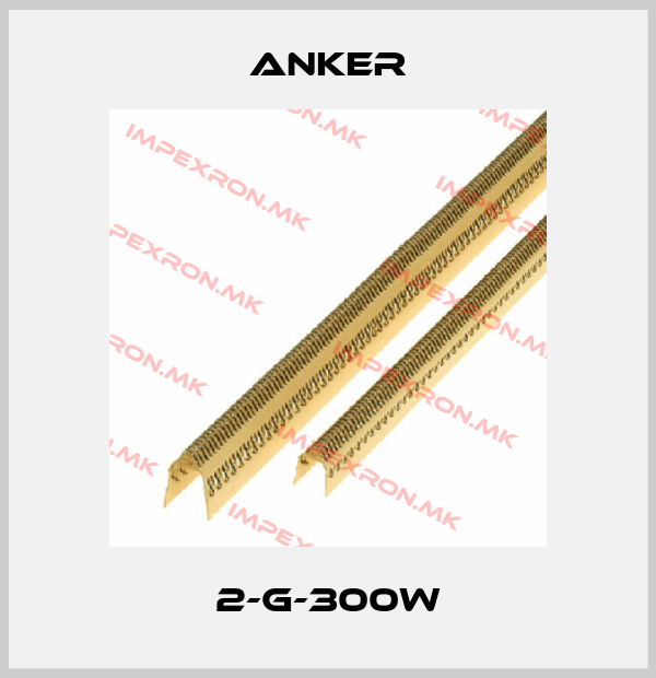Anker-2-G-300Wprice