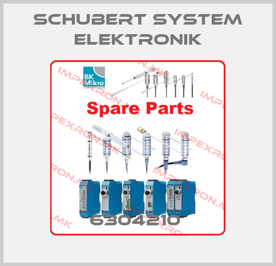 Schubert System Elektronik Europe