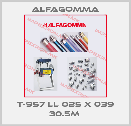 Alfagomma-T-957 LL 025 X 039 30.5M price