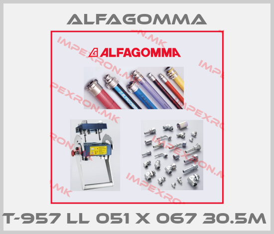 Alfagomma-T-957 LL 051 X 067 30.5M price