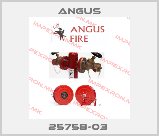 Angus-25758-03 price
