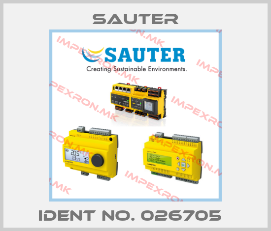 Sauter-Ident No. 026705  price