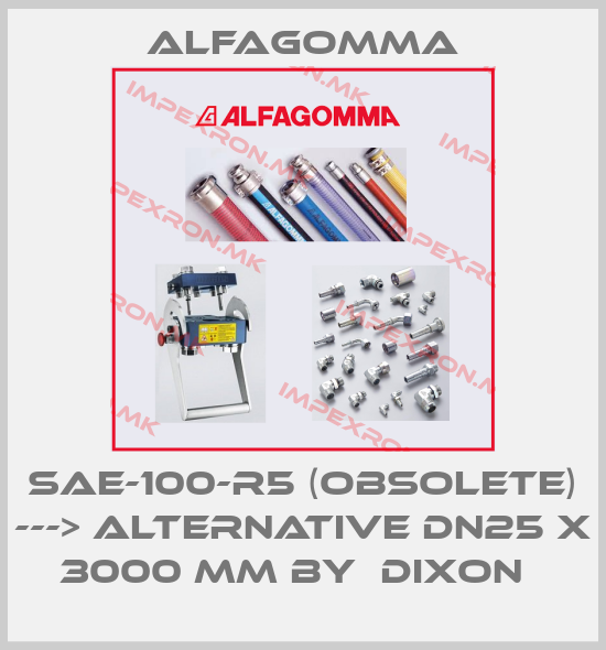 Alfagomma-SAE-100-R5 (obsolete) ---> alternative DN25 x 3000 mm by  Dixon  price