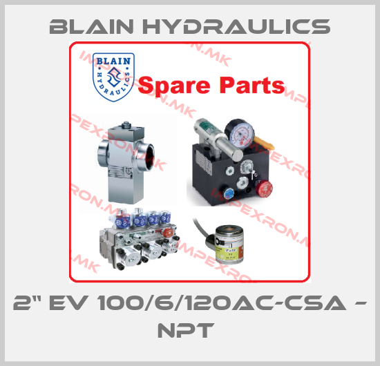 Blain Hydraulics-2“ EV 100/6/120AC-CSA – NPT price