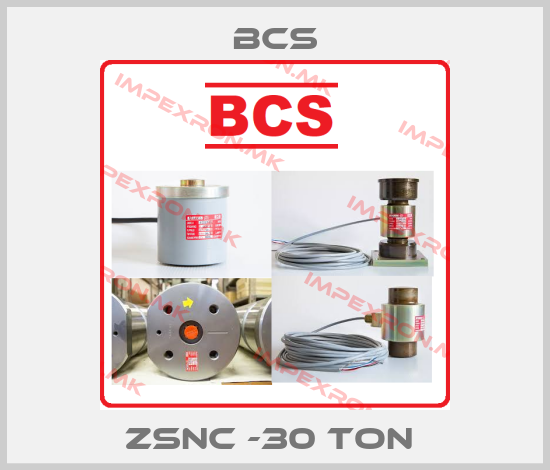 Bcs-ZSNC -30 Ton price