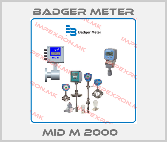 Badger Meter-MID M 2000  price