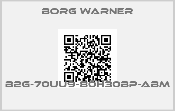 Borg Warner-B2G-70UU9-80H30BP-ABM price
