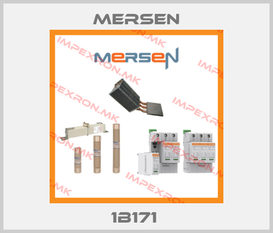Mersen-1B171 price