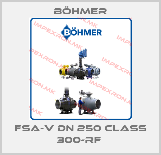 Böhmer-FSA-V DN 250 CLASS 300-RF price