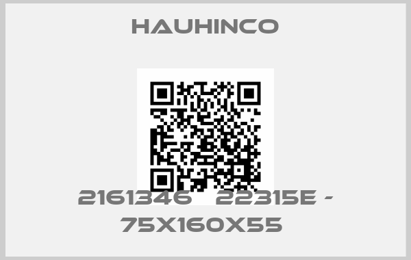 HAUHINCO-2161346   22315E - 75X160X55 price