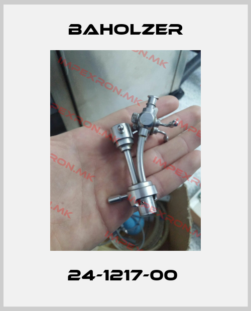 Baholzer-24-1217-00 price