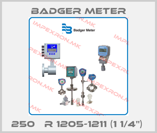 Badger Meter-250 ΒR 1205-1211 (1 1/4") price