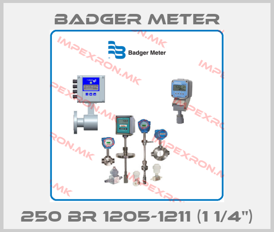 Badger Meter-250 ΒR 1205-1211 (1 1/4") price