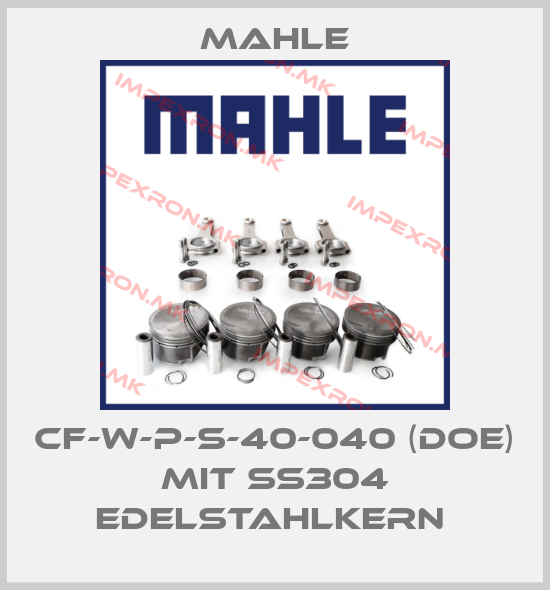 MAHLE-CF-W-P-S-40-040 (DOE) mit SS304 Edelstahlkern price