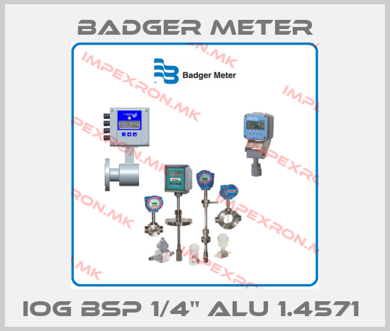 Badger Meter-IOG BSP 1/4" ALU 1.4571 price